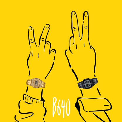 كاسيو B640WBG-1BDF