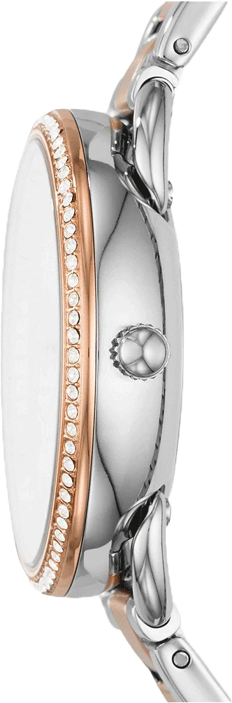 FOSSIL ES4396