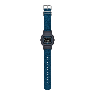 GW-BX5600CBG-2