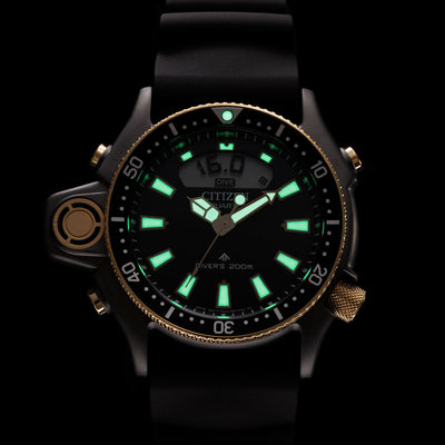 CITIZEN PROMASTER AQUALAND JP2008-06E