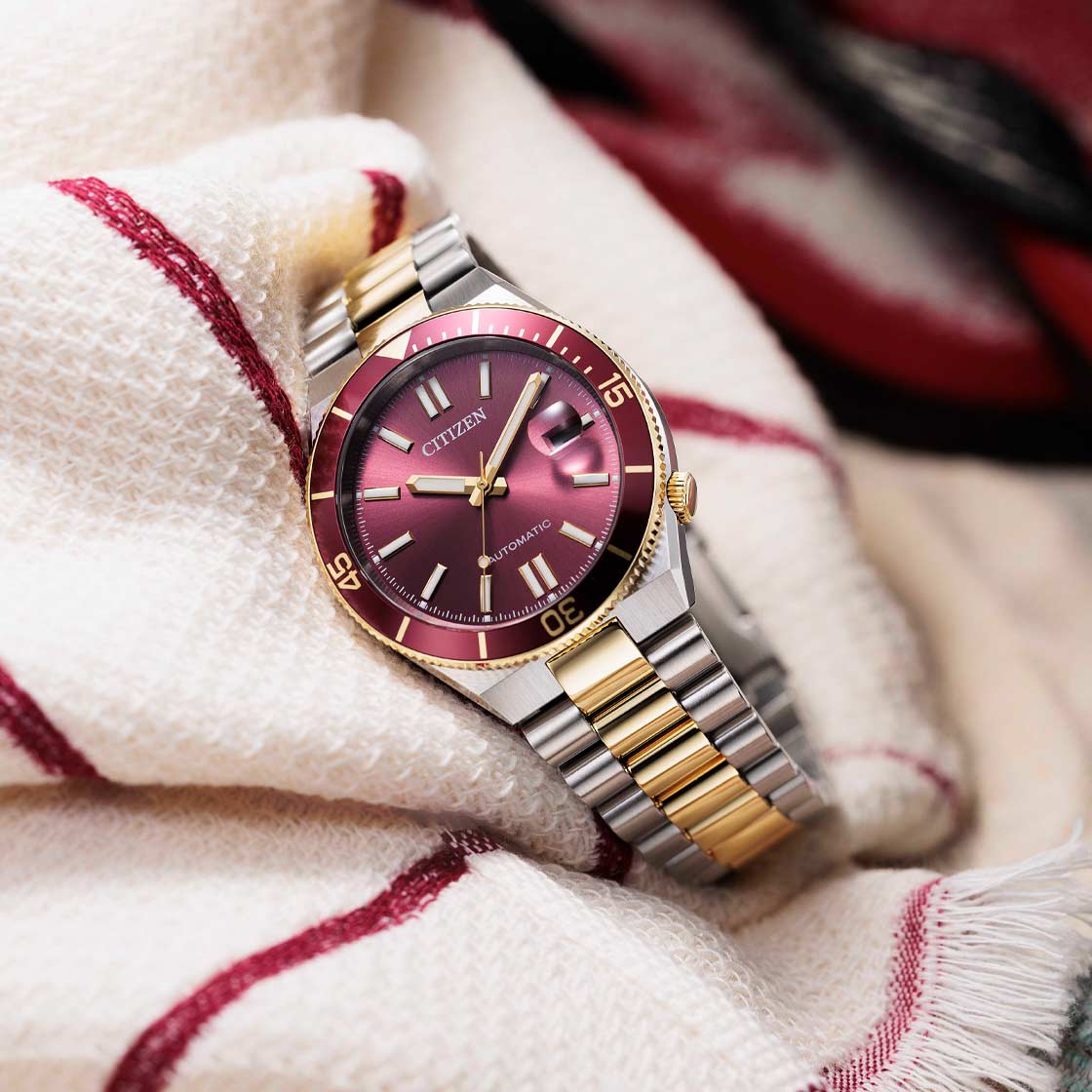 CITIZEN TSUYOSA SHORE NJ0234-58X