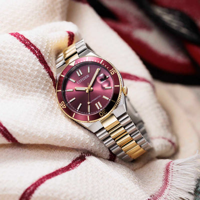 CITIZEN TSUYOSA SHORE NJ0234-58X