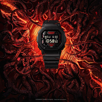 CASIO DW-5600STT-1