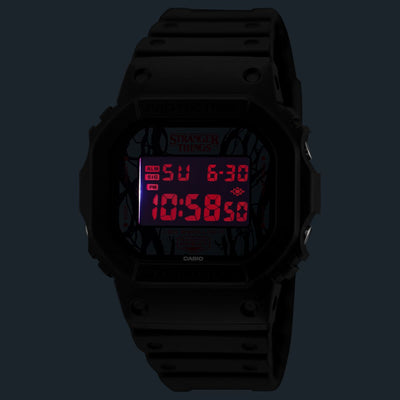 CASIO DW-5600STT-1